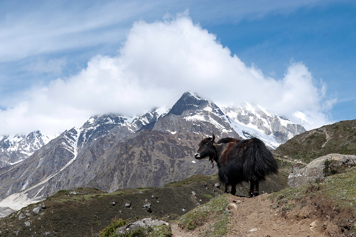 Manaslu Conservation Area 